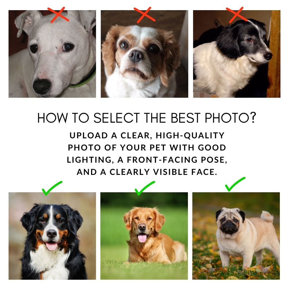Custom NoblePaws Portrait