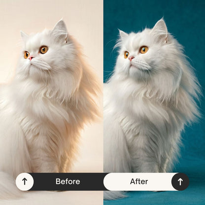 Custom NoblePaws Portrait