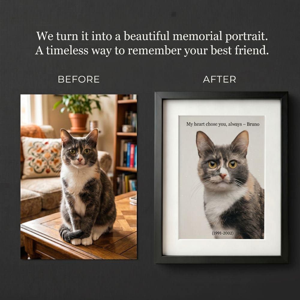 Eternal Bond Pet Portrait